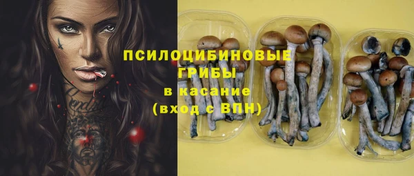 твердый Кукмор