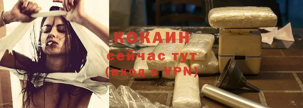 твердый Кукмор