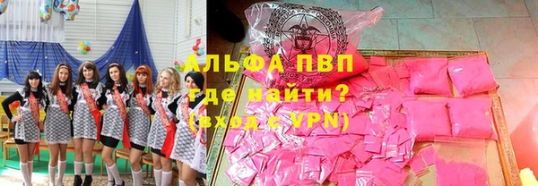 твердый Ладушкин