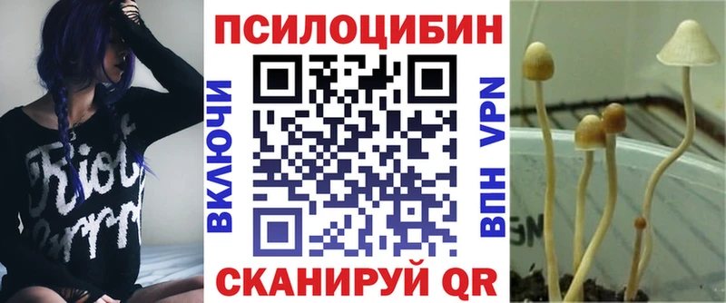 Галлюциногенные грибы Psilocybine cubensis  Красновишерск 